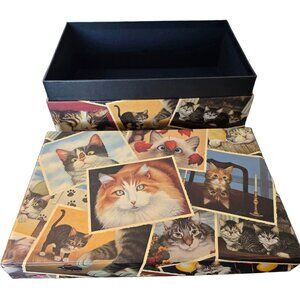Beautiful Cat Storage Box, Excellent Condition